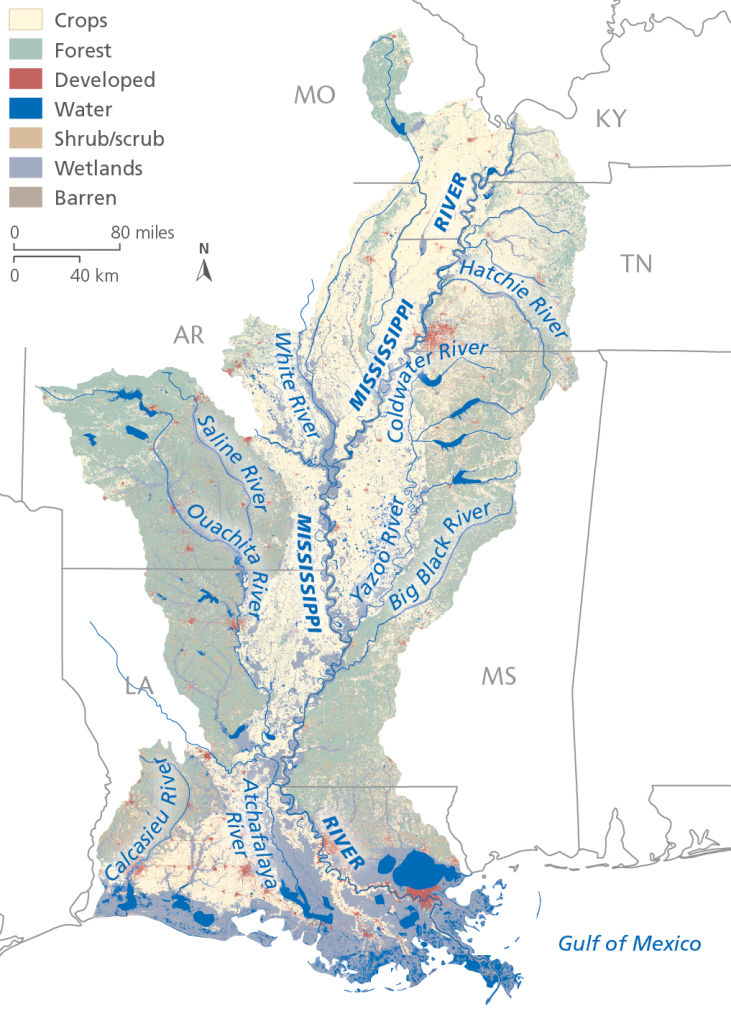 Lower Mississippi River America's Watershed Initiative